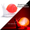 ZIRO Translucent PLA Filament 1.75mm, Translucent Living Coral